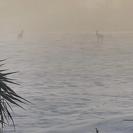 Apartamento Cara's House