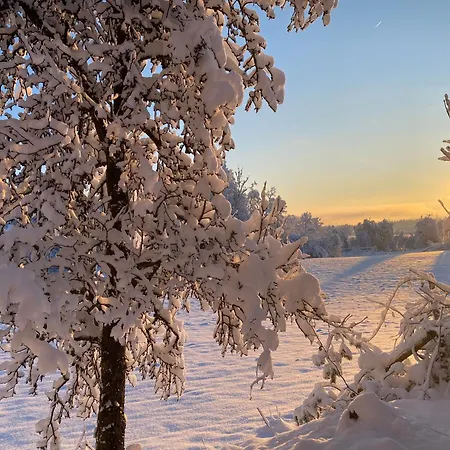 Cara's House Apartamento *