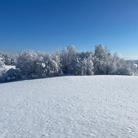 Cara's House Апартаменты