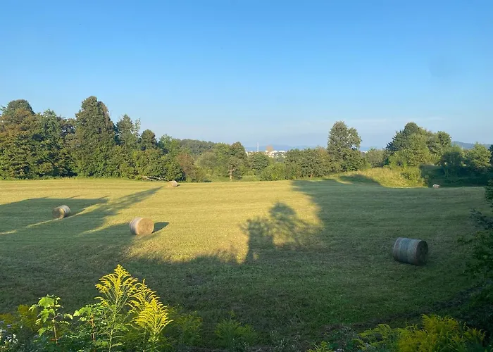 Cara's House Lejlighed Ljubljana