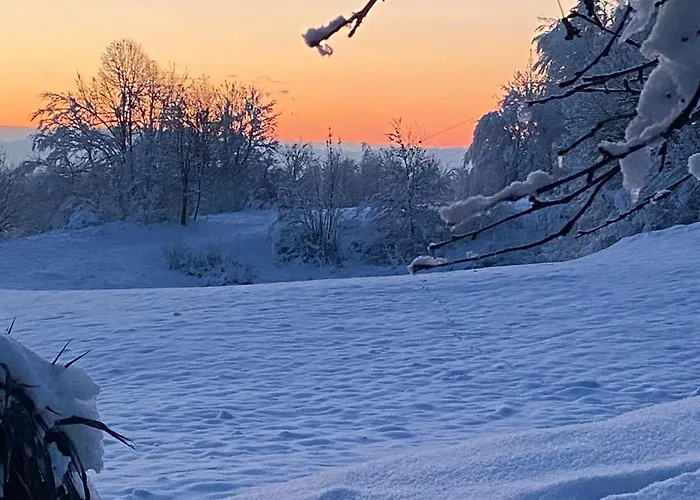 Cara's House Apartment *