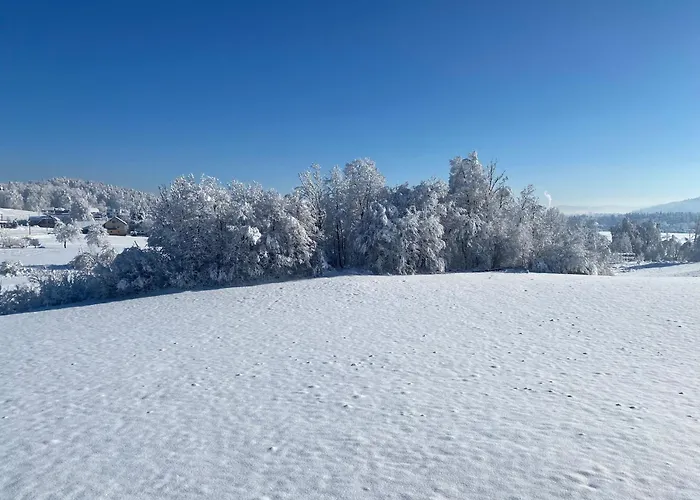 Cara's House Apartment
