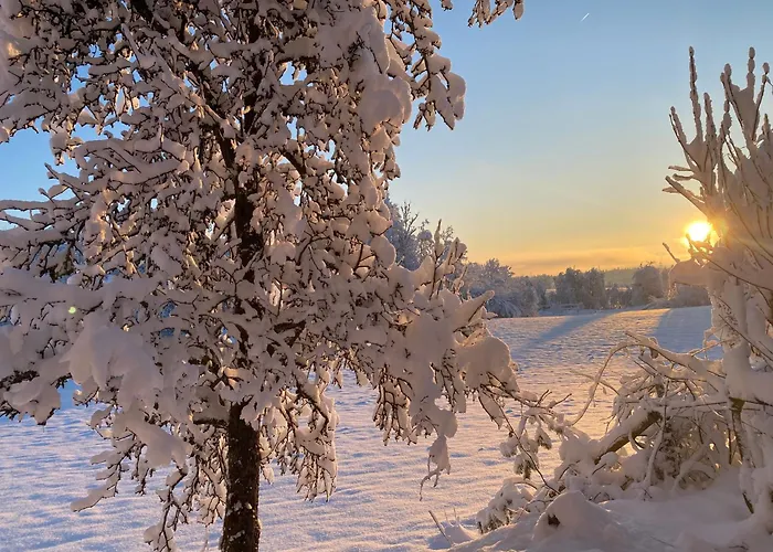 Cara's House Lejlighed *