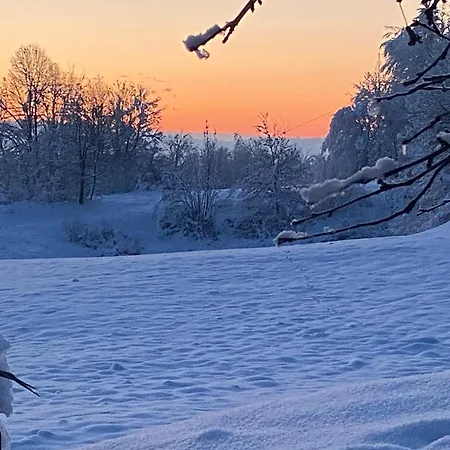 Cara's House Apartman *