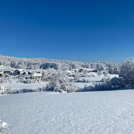 Apartman Cara's House *